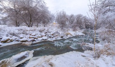 Nehir kışın donar. Yerel nehrimizle geçen kışın en sevdiğim kısmı sislerin süzülüp etraftaki ormanı kaplaması. Yumuşak, gizemli ama huzur verici bir yer yaratıyor..