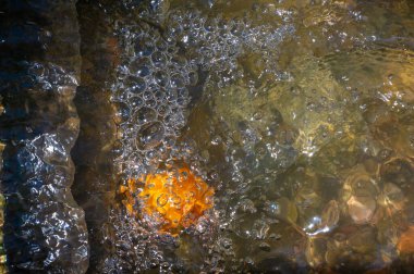 Bir dağ deresinin rahatlatıcı seslerinin tadını çıkar. Küçük bir şelalenin ferahlatıcı sisinin tadını çıkar. Hava kabarcıklarının kristal berrak suda zarafetle yüzüşünü izle.