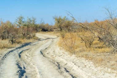 Bozkırdaki sonbaharın çarpıcı güzelliğinin tadını çıkar. Toprak yollar boyunca manzaralı bir sürüş yapın ve nefes kesici manzaralara hayran olun. Bu huzurlu topraklarda insan ve doğa arasındaki uyumu görüyor musun?.