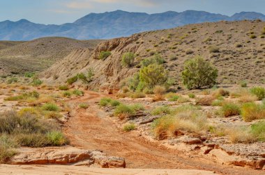 Muhteşem dağların üzerinde güneşin görkemli güzelliğinin tadını çıkar. Canlı renklerden ve dingin atmosferden mest olun. Bırak bu nefes kesici doğa olayı merakını alevlendirsin.