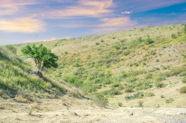 Dağ nehrinin büyüleyici güzelliğinin tadını çıkar. Dans eden suyun sesi seni başka bir dünyaya taşısın. Doğayla bağlantı kur ve kadim nehrin büyüsünü hisset..