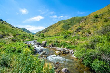 Engebeli bir kanyondan geçen bir nehrin dingin akışını hissedin. Doğanın başyapıtının hayranlık uyandıran güzelliğini deneyimleyin. Kendini dağ manzarasının sükunetine bırak.