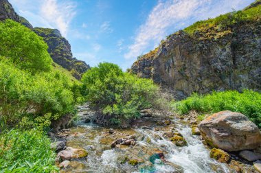 Kayalık kanyonda akan nehrin muhteşem doğal güzelliğinin tadını çıkar. Tüm ihtişamıyla dağların ve doğanın çarpıcı manzarası. Vahşi doğanın kalbinde huzurlu ve huzurlu bir tatil.