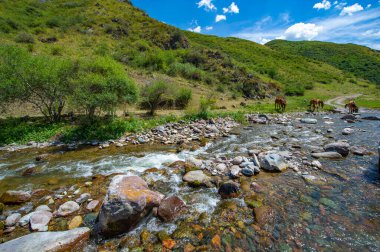 Engebeli bir kanyondan geçen bir nehrin dingin akışını hissedin. Kendinizi dağların çarpıcı doğal güzelliğine daldırın. Çevrenizdeki huzuru ve sükuneti hissedin..