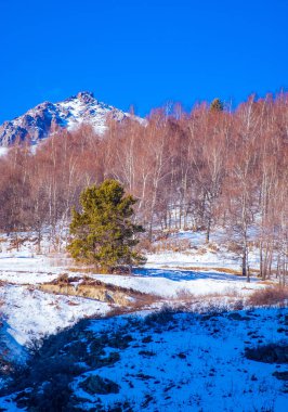 dağlar kış ve kar. Dağların yüksek güzelliğine uzaktan ya da yakından hayran olsan da ne kadar büyüleyici olduklarını inkâr edemezsin..