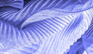 doku, tekstil, kumaş, kumaş, ağ, doku, mavi safir kıvrım kumaş, dalgalanma dalgası