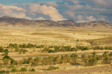 Steppe, Prairie, sade, pampa. Güzel gün batımı gökyüzü. Çölün dinginliğine kaçın, dağların yüksek olduğu, vahşi çöl kaçışının sükunetiyle çevrili olduğu yere.