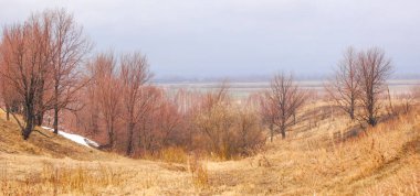 Kurumuş çimenli sarı alanlar kıştan bahara geçişi sembolize ediyor. Yapraksız çıplak ağaçlar, kışın bittiğini gösterir. Eriyen karın son kalıntıları..
