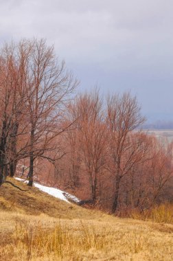 Kurumuş çimenli sarı alanlar kışın son karıyla keskin bir kontrast oluşturur. Ağaçlar çıplak ve yapraksız duruyor. Bahar sıcağının gelişini bekliyor.