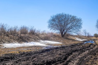 Gökyüzüne karşı siluetlenmiş ağaçların siluetlerinin arasından yeşil benekli sarı alanlar görünmeye başlıyor. Çıplak dallar öne doğru uzanıyor. Eriyen karın son kalıntıları..