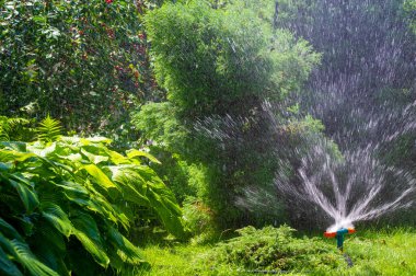 Bahçenizi su ile sulayın. Bitkilerinizi ve çimlerinizi verimli bir şekilde sulayın. Otomatik sulama ile zaman ve çaba harcamayın..