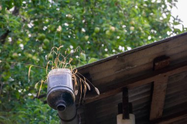 Terk edilmiş eski bir evin gizemlerini keşfedin. Karanlık sırlarını ve saklı hazinelerini keşfedin. Perili bir ortamda ürpertici bir macera yaşayın.