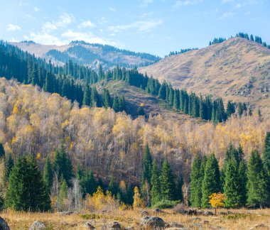 Tien Shan köknar ağaçlarının ve huş ağaçlarının çarpıcı dağ manzaralarının güzelliğini tecrübe edin. Nefes kesici panoramalardan büyülenmene izin ver. Muhteşem doğal manzarayla ruhunu tazele..