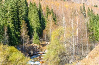 Sonbaharın dingin güzelliğine dalın. Canlı ormanların içinden akan berrak nehrin tadını çıkar. Tüm ihtişamıyla Tien Shan dağlarını keşfedin.