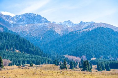 Tien Shan dağlarındaki sonbaharın güzelliğinin tadını çıkar. Yeşillik ve çam ağaçlarının arasında dolaş. Yol boyunca renkli çiçeklere hayran kal. Yemyeşil çam ağaçlarının arasında sakin bir gezinti yap..