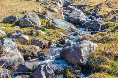 Tien Shan dağlarının dinginliğini hisset. Kendini doğanın rahatlatıcı melodisine daldır. Görkemli dağın kalbinde yemyeşil ormanlardan akan el değmemiş bir nehre tanık olun.