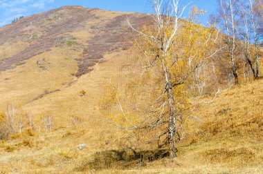 Sonbahar yapraklarının güzelliğine dalın. Bu ormandaki huzur ve sükuneti hisset. Yüksek dağın göz kamaştırıcı manzarasına aşık ol. Kendini doğanın kucağına bırak..