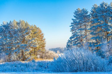 Karlı arazinin büyüsünü hisset. Bu pitoresk yerde sonsuz açık hava aktivitelerinin tadını çıkarın..