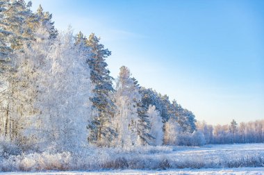 Kış rüyaları gerçek oluyor! Açık mavi gökyüzünün altında, her adımın lezzetli bir çıtır çıtır bıraktığı ve her nefesin taze serinlik ile dolu olduğu karla kaplı bir tarlanın saf neşesinin tadını çıkar. Kış Saadeti