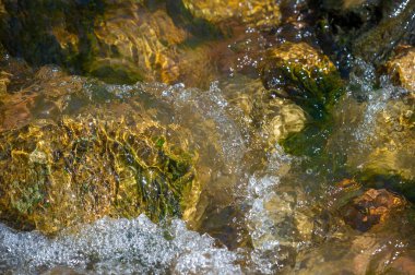 Bir dağ deresinin büyüleyici dansını deneyin. Doğanın kucaklamasının huzur verici tesellisini keşfet. Soğuk suların eski kayaların üzerinden akmasına izin ver. Keşif ve merak uyandıran.