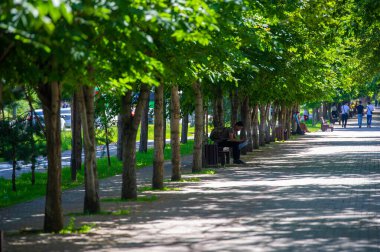Doğayla yeniden bir araya gelin: Rahat banklar ve yemyeşil yemyeşil yemliklerin uyumlu bir kombinasyonu olan 20206 Kakzakhsyag Almaty parkının sakin atmosferine dalın.