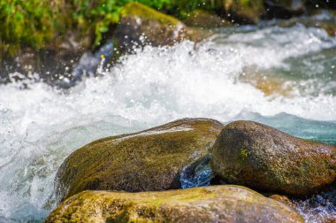 Kendinizi bu büyüleyici dağ akıntısıyla doğanın senfonisine daldırın. Şelale gibi akan su, insanı huzur veren bir vahaya götüren yatıştırıcı bir melodi yaratır..