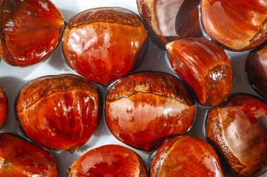 Kestanenin beyaz arkaplanındaki kestane rengi sonbahar aşkı hasadı için tasarlanmıştır.