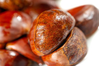 Sonbaharın özünü, zarif kestane ağaçlarımızla birlikte al. Zarif ve sofistike tasarım, mevsimsel dekorları sergilemek için mükemmel. Saf beyaz arkaplan