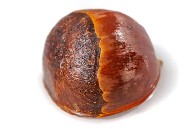 Kestane ağacı, beyaz arka planda çarpıcı detaylarla yakalanır. Kırsal cazibe ve doğal güzellik bu NaturePhotography görüntüsünde güzel bir şekilde yer alıyor..