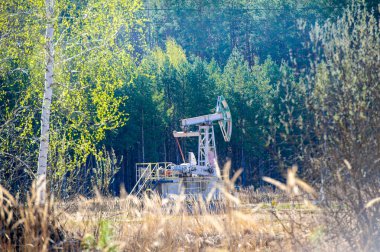 Bir kriko pompası yerden ham petrol çıkarmak için kullanılır. Ormanda ilkbahar, ağaçların kendilerini göstermeye ve yeni filizler oluşturmaya başladığı zamandır..