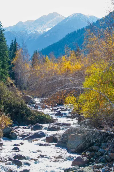 Sonbahar kucaklaşmasının güzelliğine dalın. Parlak bir ormanın içinden akan berrak bir nehrin sükunetini hisset. Tien Shan Dağları 'nın nefes kesici manzarasının tadını çıkar..