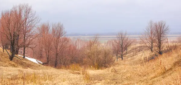 Kurumuş çimenli sarı alanlar kıştan bahara geçişi sembolize ediyor. Yapraksız çıplak ağaçlar, kışın bittiğini gösterir. Eriyen karın son kalıntıları..