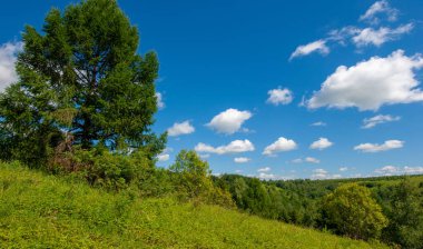 Yaz fotoğrafları, tepeler, tepeler, huş ağaçları dağların yamaçlarında yetişir. Yamaç boyunca dönen toprak bir yol, sıcak yaz günleri.