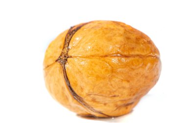 Ceviz. Cevizlerin en iyi yanı kokusu..