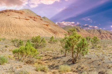 Güneş ufkun altına batarken Kırmızı Boguty Dağları efsanevi bir cennete dönüşür. Kendinizi büyüleyici renklere daldırın. Dağ alacakaranlık çöl rüyalarının sıcacık kucağında güneşlenirken.