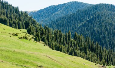 Dağlarda yaz. Dağlar hem bir yolculuk hem de bir hedeftir. Bizi yamaçlarına tırmanmaya, kanyonlarını keşfetmeye ve zirvelerine tırmanmaya zorluyorlar..