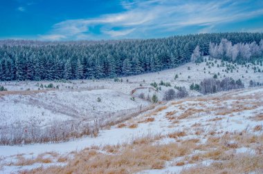 Buzla kaplı bir kış ormanının güzelliğini yakalayın. Sersemletici ve donla kaplı ağaçların ve bitkilerin eşsiz fotoğraflarını çekin. Kışın büyülü atmosferini fotoğrafçılıkla yeniden yaşayın.