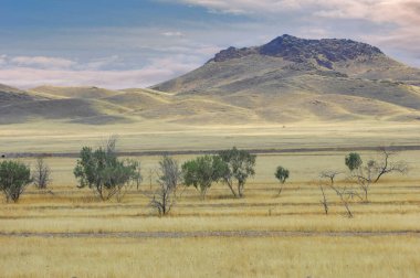 Çayır, düz, çöl. Güneş çöl doğasına veda ederken çiçeklerin büyüleyici dansına tanık olun.