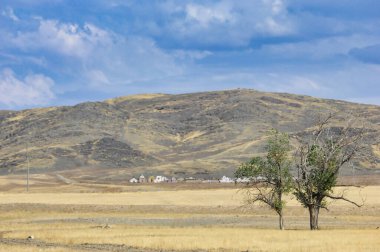 Çayır, düz, çöl. Issız bir harikalar diyarının bilinmeyen diyarlarında dolaşın. Orada yalnız bir ağaç doğayla uyum ve dayanıklılığın sembolü olarak dimdik ayakta durur. Doğa Bakımları