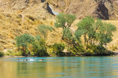 Sakin bir günbatımının dinginliğini nehrin üzerinde hisset. Görkemli dağların ve yemyeşil ağaçların nefes kesici güzelliğinin tadını çıkar. Doğanın kucağında huzuru hisset..