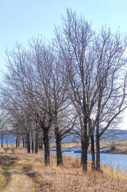 Sarı alanlar ve seyrek otlar kıştan bahara geçiş sinyalleri veriyor. Yapraksız çıplak ağaçlar, kışın sonunu simgeliyor. Erimeden önce kalan son kar parçaları da toprağa yapışmış..