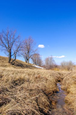 Sarı alanlar beyaz karla tezat oluşturuyor. Ağaçlar soğuktan korunmak için çırılçıplak duruyor. Bahar uykusunun ve kışın son pençelerinin karışımı..