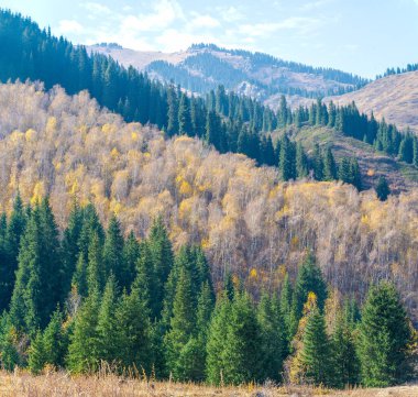 Tien Shan Dağları 'nın hayranlık uyandıran güzelliğini tecrübe edin kendinizi doğanın harikalarına daldırın ladin ve huş ağaçlarının bereketli yeşilliği arasında sizi suskun bırakacak kaya oluşumları