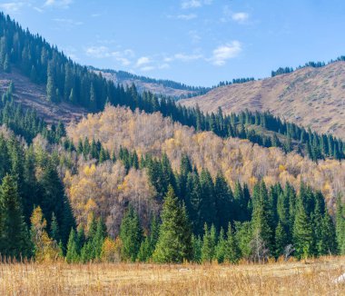 Nefes kesici Tien Shan 'ı keşfedin. Antik çam ve huş ağaçlarının sükunetini hisset. Doğanın kalıcı gücünü dağların kalbinde hisset..