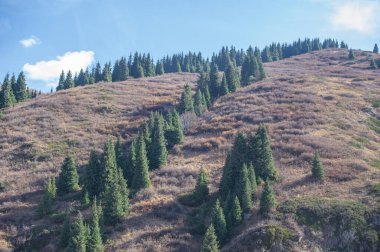 Tien Shan ladin ormanlarının mistik cazibesini tecrübe et. Kendinizi doğadaki parlak sonbahar renklerine daldırın. Maceracı ruhunu serbest bırak ve yeni yükseklikleri fethet.
