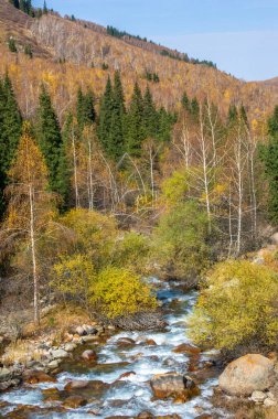 Sonbaharın dingin güzelliğine dalın. Parlak ormanların içinden akan berrak bir nehrin sükunetini hissedin. Tien Shan 'ın ilham veren dağlarını keşfedin