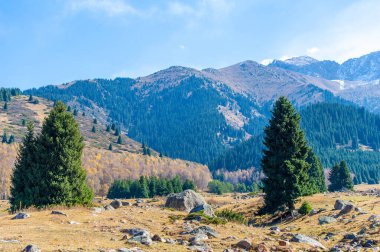 Kendini Tien Shan dağlarının dinginliğine bırak. Sonbahar yeşilliğinin ve canlı renklerin cazibesini hissedin. Bereketli yeşil çam ağaçlarının arasında sakin bir gezinti yap. Huzurun tadını çıkar.