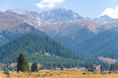 Sonbahar zirvelerinin güzelliğine dalın. Sıcak altın renklerin ve yemyeşil ormanların tadını çıkar. Doğanın ihtişamında ilham bul.