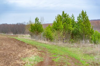 Toprağı gelecekteki büyüme için hazırlıyorum. Tohum ekmeye hazır, iyice sürülmüş bir tarla. Bereketli topraklar gelecekte başarılı bir hasat vaat ediyor..