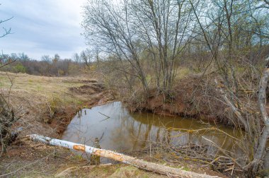 Sonsuz tarlalar arasında büyüleyici bir vaha keşfedin. Kunduz cennetinin güzelliğini tecrübe edin. Gizemli Göl 'ün doğal serenadını dinle..